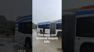 the wego bus terminal Niagara falls