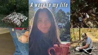 A week on the homestead | insulating the garage, outdoor play, chicken coop, sourdough starter