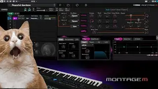 VSTi do YAMAHA MONTAGE M? || Expanded Softsynth Plugin (E.S.P.) ||