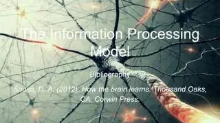 Information Processing Model Faculty Presentation