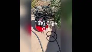 Clear HBG Cage Testing