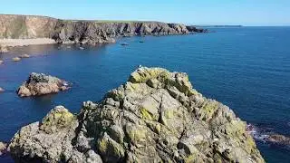 Seagull on rock Mavic 2 Pro aerial shot