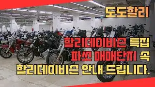 도도할리  / 할리데이비슨 특집 파쏘매매단지 전 할리데이비슨 매물 소개 / 파쏘매매단지