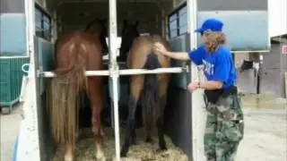 Rescuing horses from SoCal wildfires