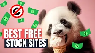 The Best Free Photo & Video Stock Sites