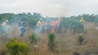Controlled Burn at Cypress Creek