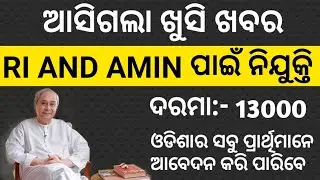 RI And AMIN Job 2020, Big Vacancy 2020, RI And AMIN Recruitment 2020, Odisha Govt. Job 2020.