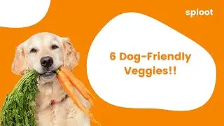 6 Dog Friendly Veggies!