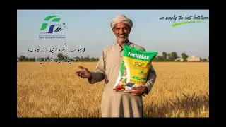 SOP (Potassium Sulphate) @fivestaragrofertilizers #agriculture #agriculturefertilizer #wheat 