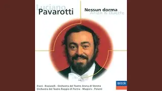 Donizetti: L'elisir d'amore / Act 1: 