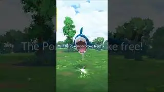 Mega Sharpedo Raid Day Results in Texas #pokemongo #pokemon #pokeshorts