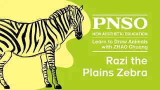 005 Razi the Plains Zebra | Learn to Draw Animals with ZHAO Chuang