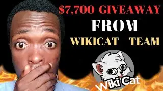 Wiki Cat TEAM is Giving Away $7,700 To All WIKI CAT ARMY, Here's How To PARTICIPATE & WIN