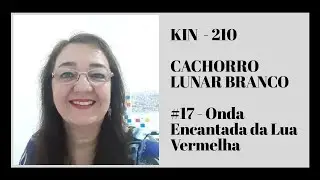 KIN 210 - CACHORRO LUNAR BRANCO