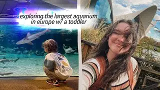 the valencia aquarium with a toddler | living like a local in spain