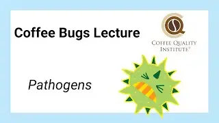 Coffee Bugs Part 2 - Pathogens