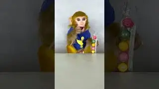 😍 Cute Smart Baby Monkey Eating Bubble Gum | My Goal - 3000 Subscribers🤩 !