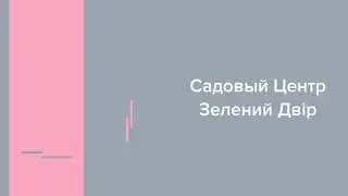 Садовый Центр Зелений Двір - ЧУБУШНИК LEMOINEI С3