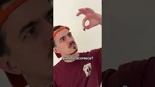 por que moscas morrem de costas?