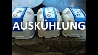 Wie stark kühlen Luftpumpen im Winter das Wasser ab?