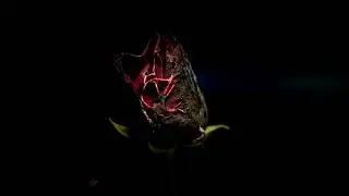 Milieu Beats - Whispers (Royalty free) Pop Rock Film Score