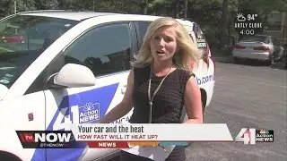 How hot can a car get? Lindsay Shively knows.
