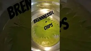 Brennnessel - Chips #wildkr&auml;uter #kochen #survival #natur #brennnessel