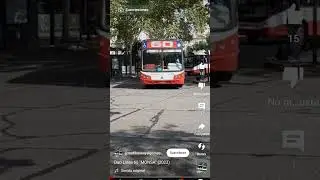 #linea60 #colectivo #vvvv #ostiso #oso