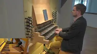 Alfred Hollins: A Song of Sunshine | Niklas Piel