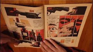 Comics I Can't Read #1: Daredevil by Frank Miller and Terry Austin