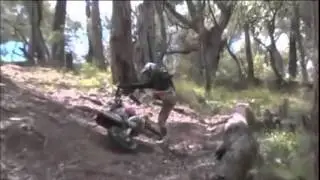 100 dollar hill clipped
