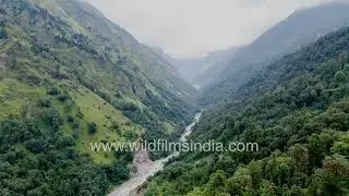 Pindari river in Kumaon as it flows through a green monsoony valley, in aerial view