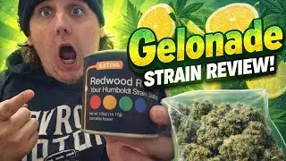 Gelonade strain review!!!