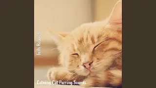 Calming Cat Purring Sounds, Pt. 3