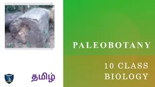Paleobotany in Tamil | Origin and Evolution of Life | Class 10 | TNSCERT | Science Easy Tech