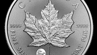 Treasured Maple LUNAR HORSE PRIVY 2026 CANADA 1oz .9999 Pure Silver $5 Coin
