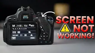 FIX Your Canon Screen Problem NOW! Screen Bug/Screen Not Working/Screen Not Opening
