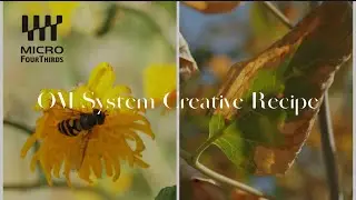 Relaxing Nature Photography with OM System Creative Recipe | OM-5 II & 40-150mm | OM-1 OM-3 Pen-F