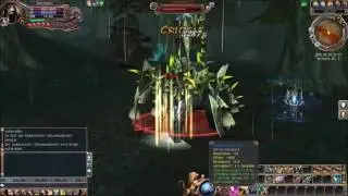 LAST CHAOS: STRAYANA
