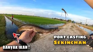 Casting Haruan Port Sekinchan | Banyak Haruan Dalam Tali Air Ni ! 