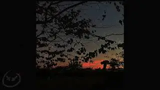 DOWNFALLHILL III - not better, just stronger. | DOWNFALLPAT! (OFFICAL AUDIO) [Michael Harrison]