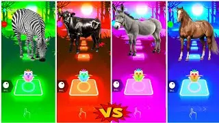 Funny Zedra Dance 🆚 Funny Cow 🆚 Funny Donkey 🆚 Funny Horse🐎.💥Who ln The Best 👍 coffin Dance✅