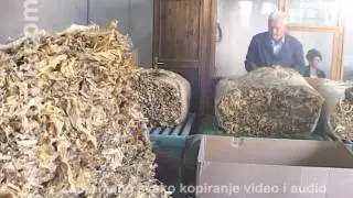 OBJEKTIV   BN   0tkup duvana   RTV HIT