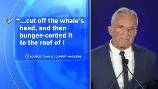 Environmental group asks for RFK Jr. to be investigated for severed whale head