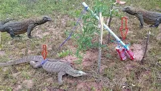 Creative Man Make Primitive Komodo Dragon Trap Using Spanish Windlass Trap To Catch And Attack With