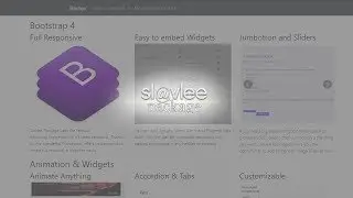 Slavlee Package