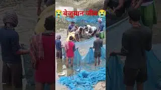 fish fish and fisherman ,😭😭😭😭😭😭😞😞😞 to catch the fish