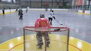 VIHL Street Shinny Vs Weiserhood June 16 2024