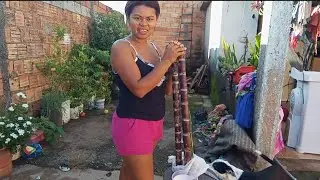 Descascado cana hoje foi dia de lavar roupa 