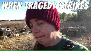 Sudden Death On The Farm